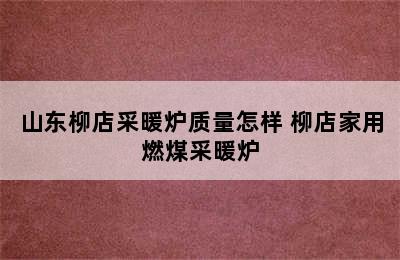 山东柳店采暖炉质量怎样 柳店家用燃煤采暖炉